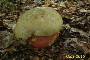 Klikni pro velký obrázek