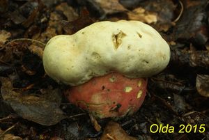 Klikni pro velký obrázek