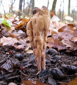 Klikni pro velký obrázek