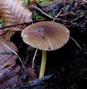 Klikni pro velký obrázek