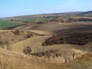 Klikni pro velký obrázek