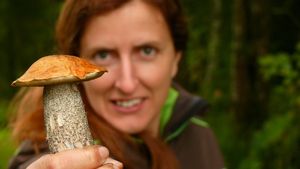 Klikni pro velký obrázek