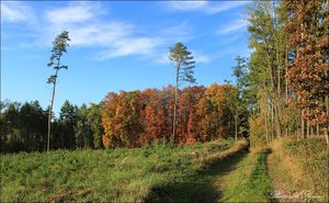Klikni pro velký obrázek