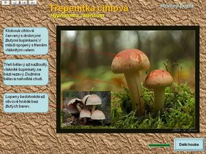 Klikni pro velký obrázek