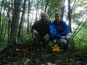 Klikni pro velký obrázek