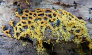 Klikni pro velký obrázek