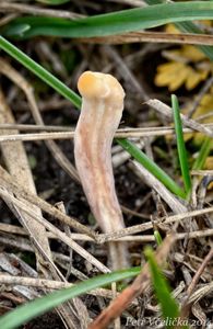 Klikni pro velký obrázek