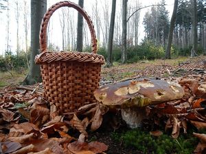 Klikni pro velký obrázek