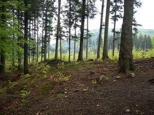 Klikni pro velký obrázek