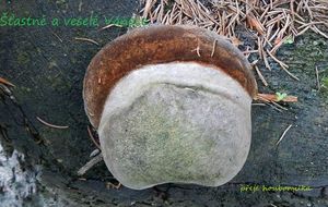 Klikni pro velký obrázek