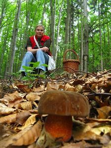 Klikni pro velký obrázek