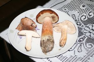 Klikni pro velký obrázek