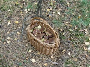 Klikni pro velký obrázek