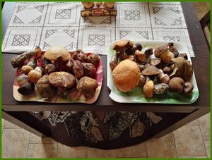 Klikni pro velký obrázek