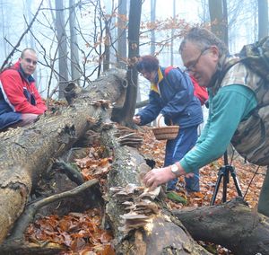 Klikni pro velký obrázek