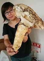 Klikni pro velký obrázek