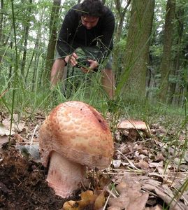 Klikni pro velký obrázek