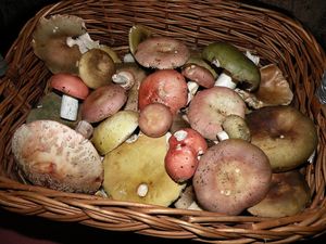 Klikni pro velký obrázek