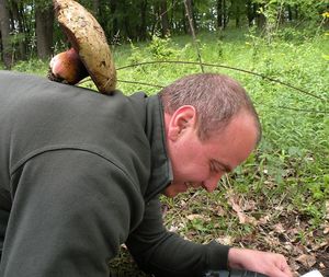 Klikni pro velký obrázek