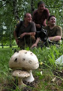 Klikni pro velký obrázek