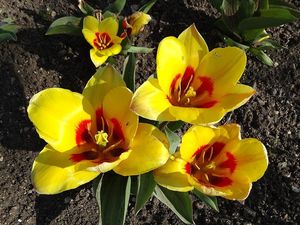 Klikni pro velký obrázek