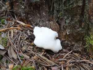 Klikni pro velký obrázek