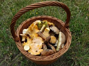 Klikni pro velký obrázek