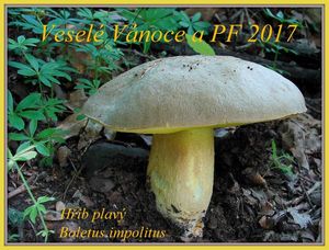 Klikni pro velký obrázek