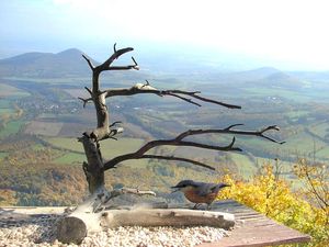 Klikni pro velký obrázek