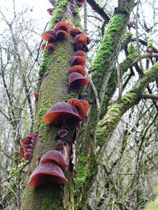 Klikni pro velký obrázek