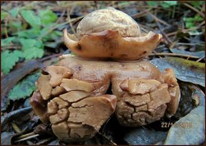 Klikni pro velký obrázek