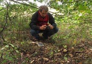 Klikni pro velký obrázek