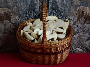 Klikni pro velký obrázek