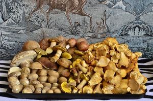 Klikni pro velký obrázek