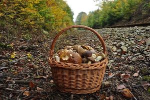 Klikni pro velký obrázek