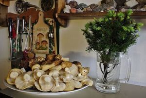 Klikni pro velký obrázek