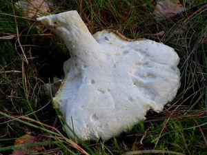 Klikni pro velký obrázek