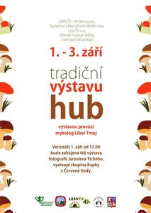 Klikni pro velký obrázek