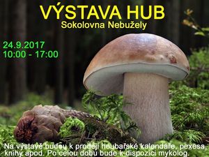 Klikni pro velký obrázek