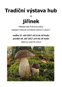 Klikni pro velký obrázek