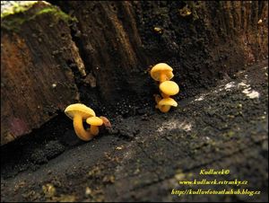 Klikni pro velký obrázek