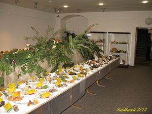 Klikni pro velký obrázek