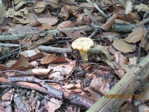 Klikni pro velký obrázek