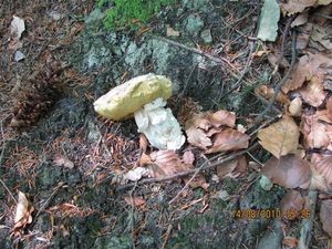 Klikni pro velký obrázek