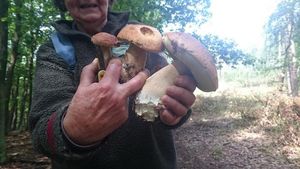 Klikni pro velký obrázek