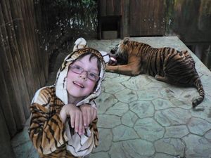 Klikni pro velký obrázek