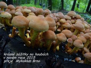 Klikni pro velký obrázek