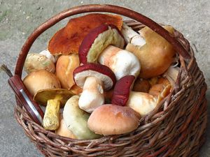 Klikni pro velký obrázek