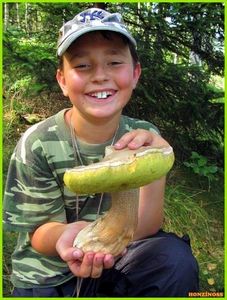 Klikni pro velký obrázek