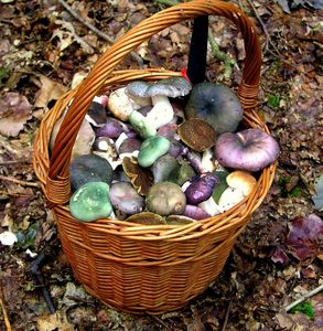 Klikni pro velký obrázek